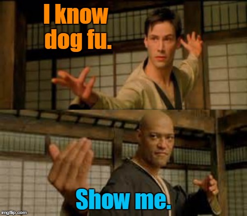 I know dog fu. Show me. | made w/ Imgflip meme maker