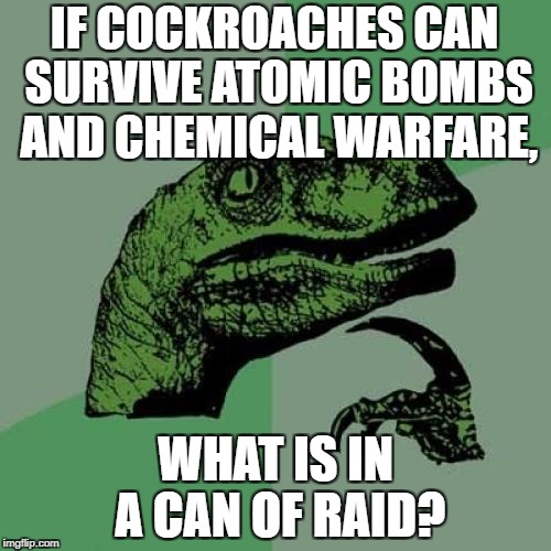 Philosoraptor Meme | IF COCKROACHES CAN SURVIVE ATOMIC BOMBS AND CHEMICAL WARFARE, WHAT IS IN A CAN OF RAID? | image tagged in memes,philosoraptor | made w/ Imgflip meme maker
