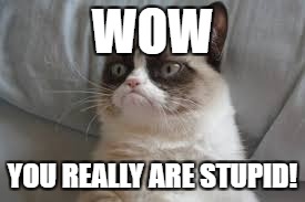 Grumpy cat | WOW; YOU REALLY ARE STUPID! | image tagged in grumpy cat | made w/ Imgflip meme maker