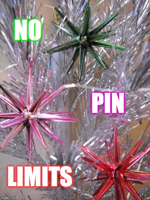 NO; PIN; LIMITS | made w/ Imgflip meme maker