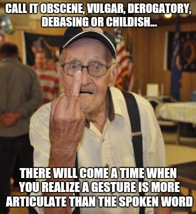 Wisdom | CALL IT OBSCENE, VULGAR, DEROGATORY, DEBASING OR CHILDISH... THERE WILL COME A TIME WHEN YOU REALIZE A GESTURE IS MORE ARTICULATE THAN THE SPOKEN WORD | image tagged in understanding,memes,age,wisdom,communication,words | made w/ Imgflip meme maker