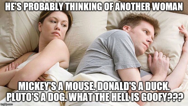 I bet he's thinking of other woman  | HE'S PROBABLY THINKING OF ANOTHER WOMAN; MICKEY'S A MOUSE. DONALD'S A DUCK. PLUTO'S A DOG. WHAT THE HELL IS GOOFY??? | image tagged in i bet he's thinking of other woman | made w/ Imgflip meme maker