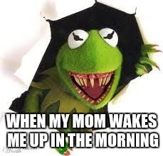 Demon Kermit | WHEN MY MOM WAKES ME UP IN THE MORNING | image tagged in demon kermit | made w/ Imgflip meme maker