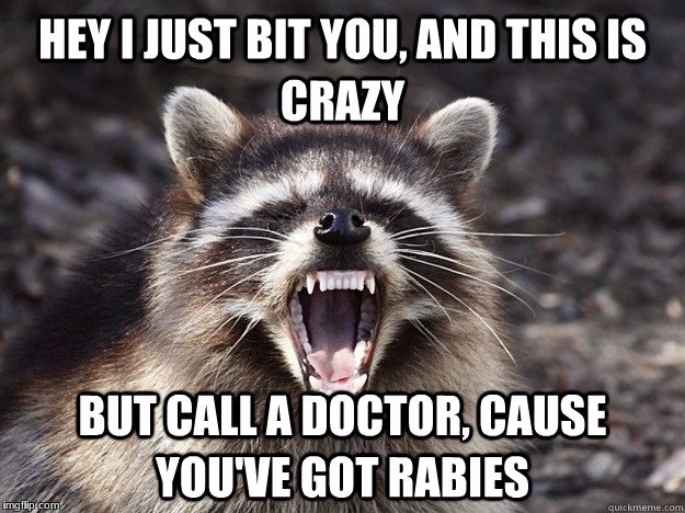 Singing raccons | image tagged in racoon,parody | made w/ Imgflip meme maker
