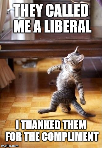 Thank you | THEY CALLED ME A LIBERAL; I THANKED THEM FOR THE COMPLIMENT | image tagged in memes,cool cat stroll,liberal,thank you | made w/ Imgflip meme maker