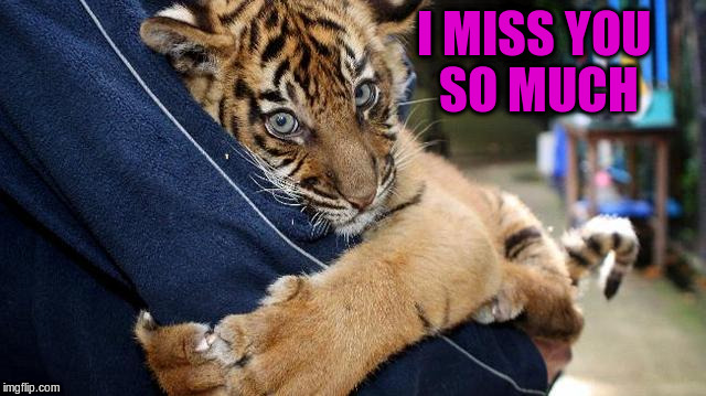I MISS YOU SO MUCH | made w/ Imgflip meme maker