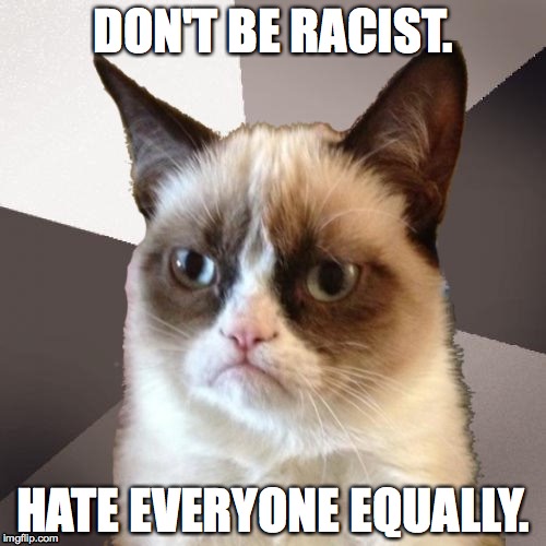 Musically Malicious Grumpy Cat | DON'T BE RACIST. HATE EVERYONE EQUALLY. | image tagged in musically malicious grumpy cat,grumpy cat | made w/ Imgflip meme maker