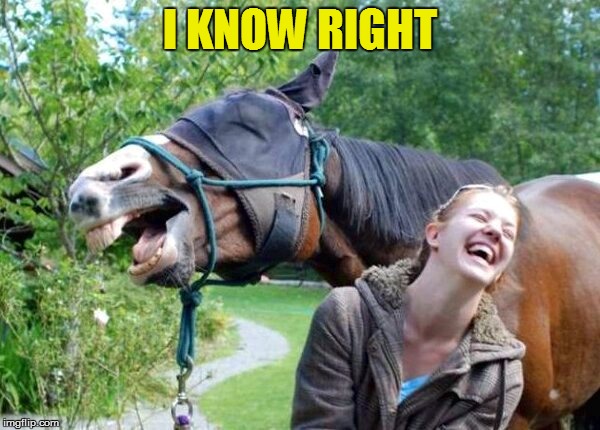 Laughing Horse | I KNOW RIGHT | image tagged in laughing horse | made w/ Imgflip meme maker