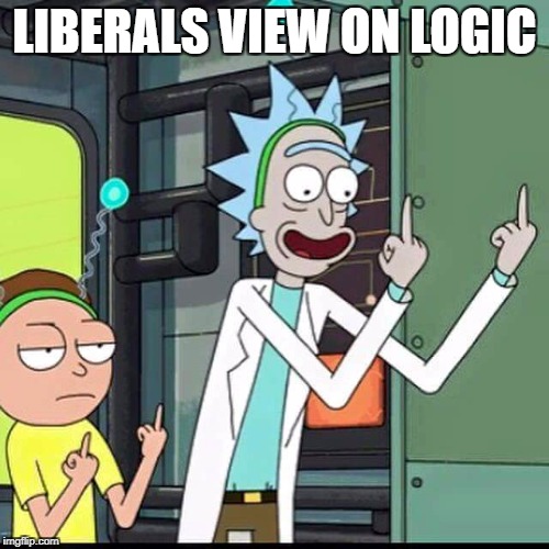 Rick and Morty | LIBERALS VIEW ON LOGIC | image tagged in rick and morty | made w/ Imgflip meme maker