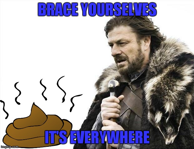 Poop on you! | BRACE YOURSELVES; IT'S EVERYWHERE | image tagged in memes,brace yourselves x is coming | made w/ Imgflip meme maker
