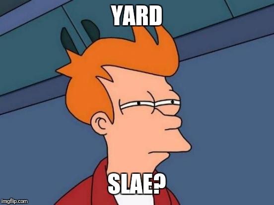 Futurama Fry Meme | YARD SLAE? | image tagged in memes,futurama fry | made w/ Imgflip meme maker