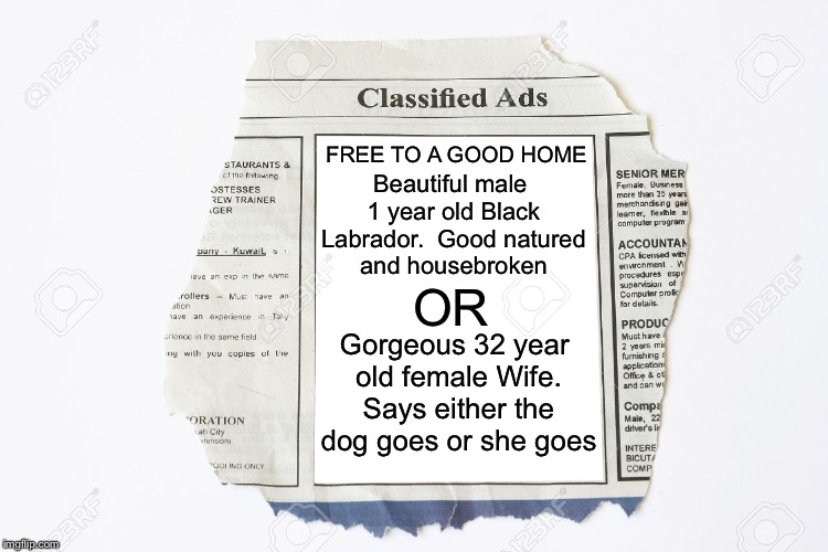 What a deal! | Beautiful male 1 year old Black Labrador.  Good natured and housebroken; FREE TO A GOOD HOME; OR; Gorgeous 32 year old female Wife. Says either the dog goes or she goes | image tagged in classified ads,memes,wife,dog | made w/ Imgflip meme maker