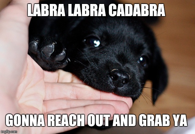LABRA LABRA CADABRA GONNA REACH OUT AND GRAB YA | made w/ Imgflip meme maker