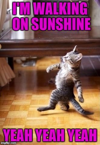 I'M WALKING ON SUNSHINE YEAH YEAH YEAH | made w/ Imgflip meme maker