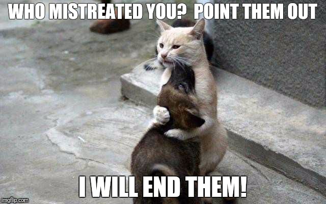 WHO MISTREATED YOU?  POINT THEM OUT; I WILL END THEM! | image tagged in cat protecting dog | made w/ Imgflip meme maker