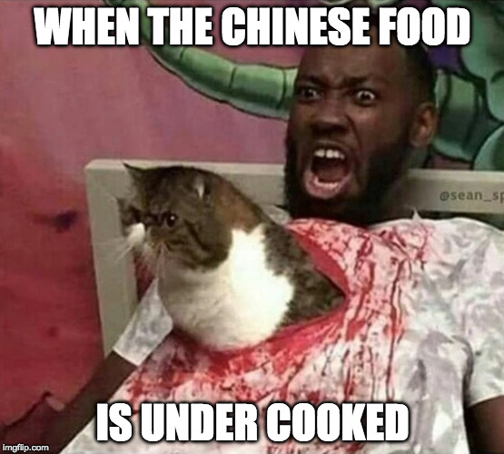 We can see make fun of Asians, right? | WHEN THE CHINESE FOOD; IS UNDER COOKED | image tagged in asian,cat,grumpy cat,raw,i'm asian so it's cool | made w/ Imgflip meme maker