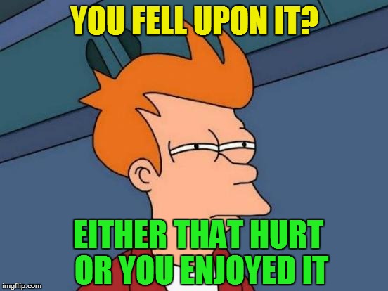 Futurama Fry Meme | YOU FELL UPON IT? EITHER THAT HURT OR YOU ENJOYED IT | image tagged in memes,futurama fry | made w/ Imgflip meme maker