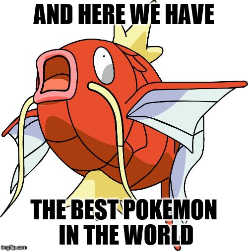 AND HERE WE HAVE; THE BEST POKEMON IN THE WORLD | image tagged in magikarp | made w/ Imgflip meme maker