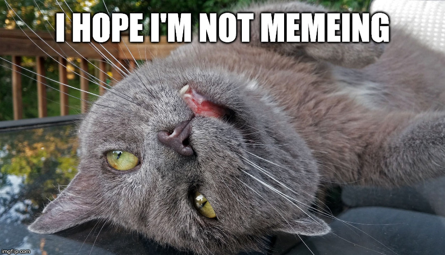 Faded Cat | I HOPE I'M NOT MEMEING | image tagged in faded cat | made w/ Imgflip meme maker