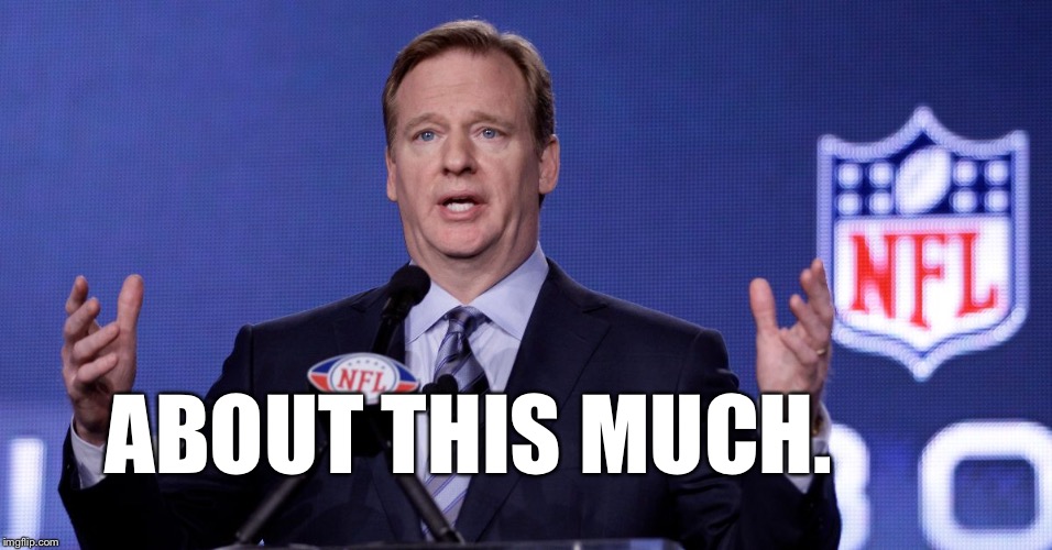 How much $ has the anthem anti-USA protest cost the NFL? | ABOUT THIS MUCH. | image tagged in le goof of de nfl,stupid players,brainwashed america,duh nfl commissioner | made w/ Imgflip meme maker