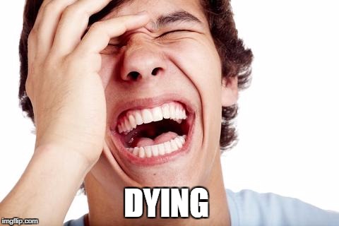 hilarious | DYING | image tagged in hilarious | made w/ Imgflip meme maker