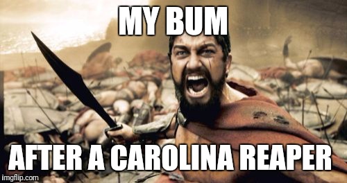 Sparta Leonidas | MY BUM; AFTER A CAROLINA REAPER | image tagged in memes,sparta leonidas | made w/ Imgflip meme maker