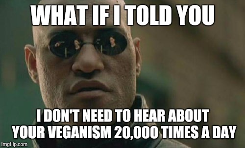Matrix Morpheus Meme | WHAT IF I TOLD YOU I DON'T NEED TO HEAR ABOUT YOUR VEGANISM 20,000 TIMES A DAY | image tagged in memes,matrix morpheus | made w/ Imgflip meme maker
