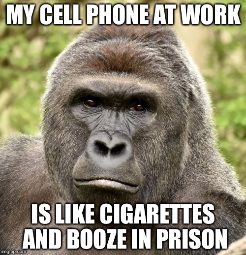 Har | MY CELL PHONE AT WORK IS LIKE CIGARETTES AND BOOZE IN PRISON | image tagged in har | made w/ Imgflip meme maker