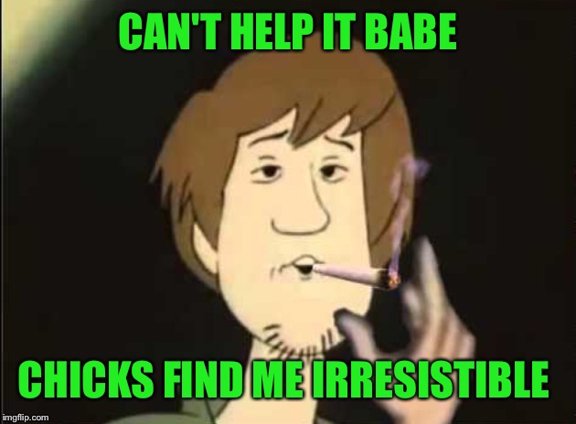 Shaggy joint | CAN'T HELP IT BABE CHICKS FIND ME IRRESISTIBLE | image tagged in shaggy joint | made w/ Imgflip meme maker