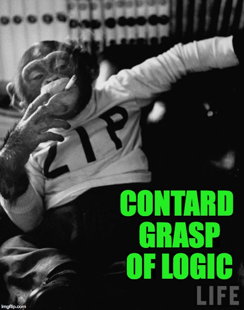 CONTARD GRASP OF LOGIC | made w/ Imgflip meme maker