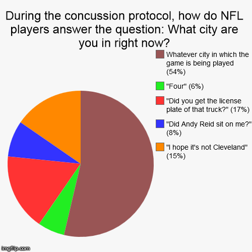 Concussion Protocol | image tagged in funny,pie charts,memes | made w/ Imgflip chart maker