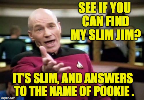 Picard Wtf Meme | SEE IF YOU CAN FIND MY SLIM JIM? IT'S SLIM, AND ANSWERS TO THE NAME OF POOKIE . | image tagged in memes,picard wtf | made w/ Imgflip meme maker