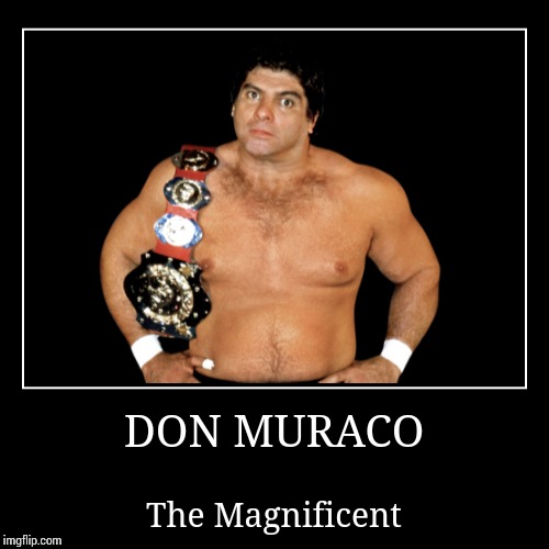 Don Muraco | image tagged in wwe | made w/ Imgflip demotivational maker