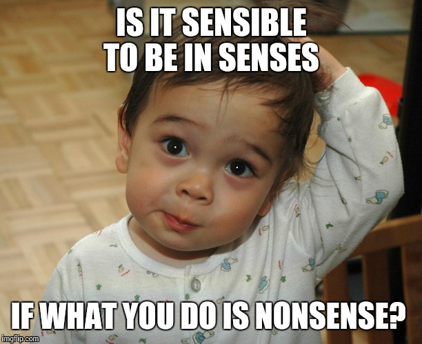 Real world question  | IS IT SENSIBLE TO BE IN SENSES; IF WHAT YOU DO IS NONSENSE? | image tagged in confused lad | made w/ Imgflip meme maker