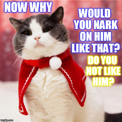 Mob Cat: The Ultimate Question | NOW WHY; WOULD YOU NARK ON HIM LIKE THAT? DO YOU NOT LIKE HIM? | image tagged in memes,cat memes,mob,cat,why are you like this,tattletail | made w/ Imgflip meme maker