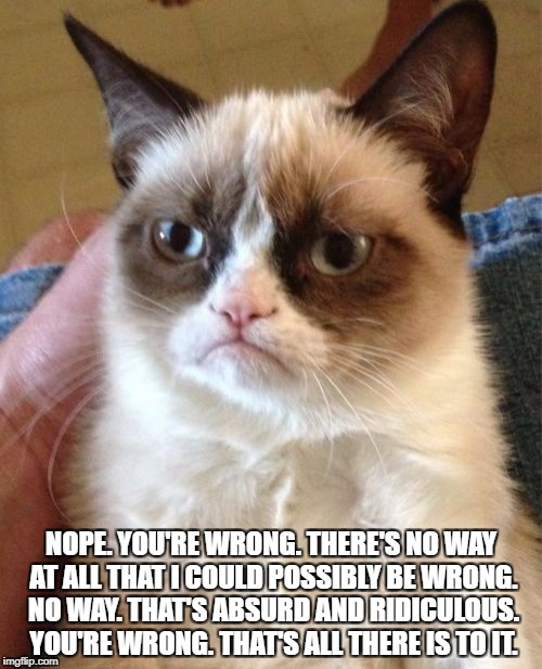 Grumpy Cat Meme | NOPE. YOU'RE WRONG. THERE'S NO WAY AT ALL THAT I COULD POSSIBLY BE WRONG. NO WAY. THAT'S ABSURD AND RIDICULOUS. YOU'RE WRONG. THAT'S ALL THE | image tagged in memes,grumpy cat | made w/ Imgflip meme maker