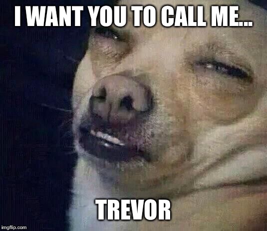 Too Dank | I WANT YOU TO CALL ME... TREVOR | image tagged in too dank | made w/ Imgflip meme maker