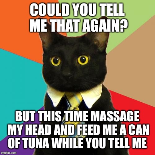 Business Cat Meme | COULD YOU TELL ME THAT AGAIN? BUT THIS TIME MASSAGE MY HEAD AND FEED ME A CAN OF TUNA WHILE YOU TELL ME | image tagged in memes,business cat | made w/ Imgflip meme maker