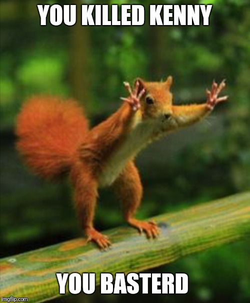 RED SQUIRREL  | YOU KILLED KENNY; YOU BASTERD | image tagged in red squirrel | made w/ Imgflip meme maker