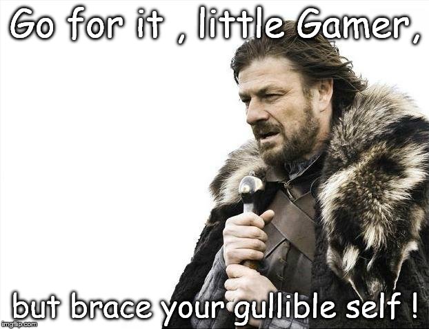 Brace Yourselves X is Coming Meme | Go for it , little Gamer, but brace your gullible self ! | image tagged in memes,brace yourselves x is coming | made w/ Imgflip meme maker
