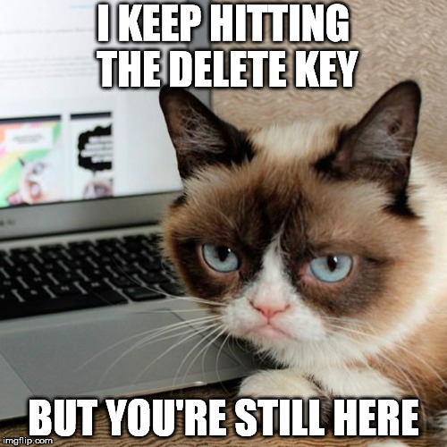 I KEEP HITTING THE DELETE KEY; BUT YOU'RE STILL HERE | image tagged in grumpy cat,delete | made w/ Imgflip meme maker