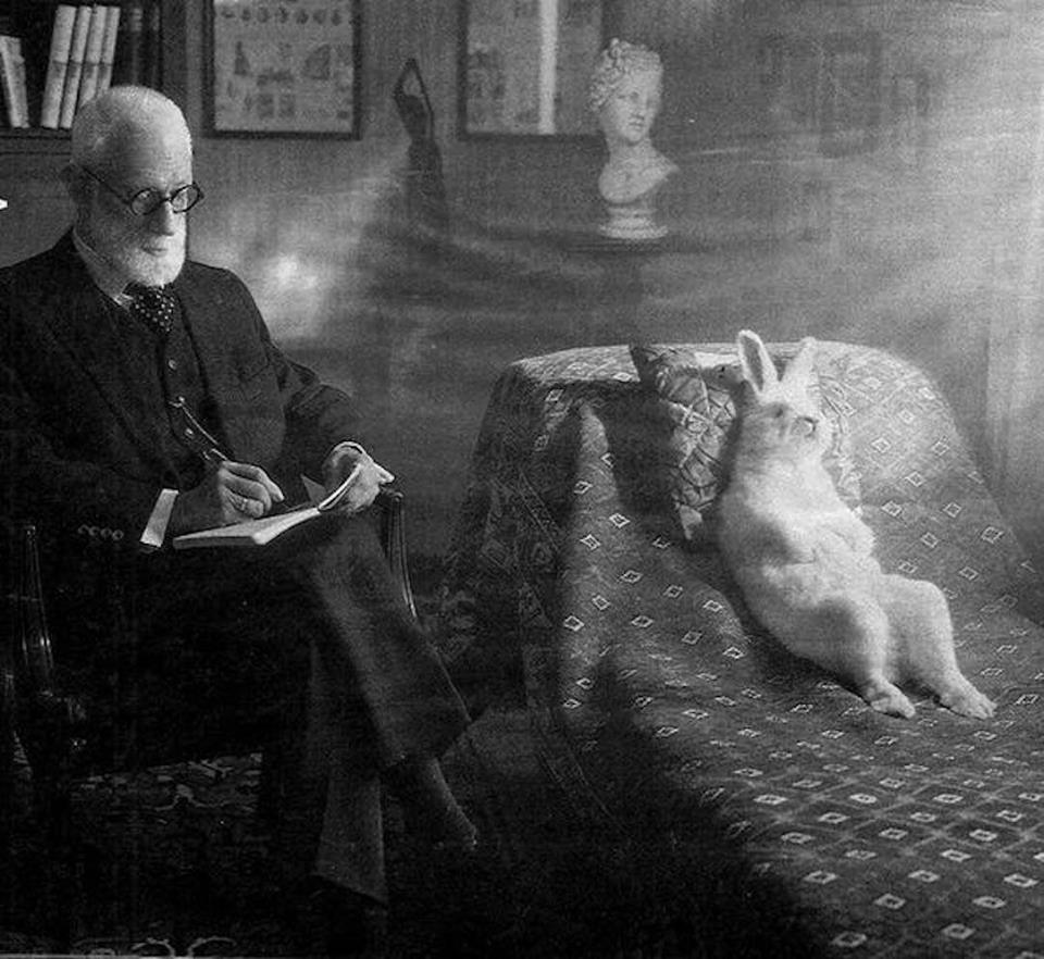High Quality Freud and rabbit Blank Meme Template