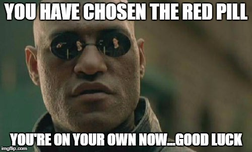 Matrix Morpheus Meme | YOU HAVE CHOSEN THE RED PILL; YOU'RE ON YOUR OWN NOW...GOOD LUCK | image tagged in memes,matrix morpheus | made w/ Imgflip meme maker
