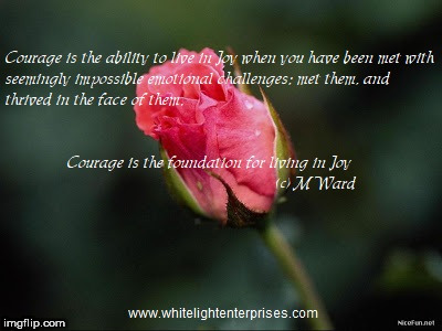 Courage is... | image tagged in courage,challenge,emotions,thrive,joy | made w/ Imgflip meme maker