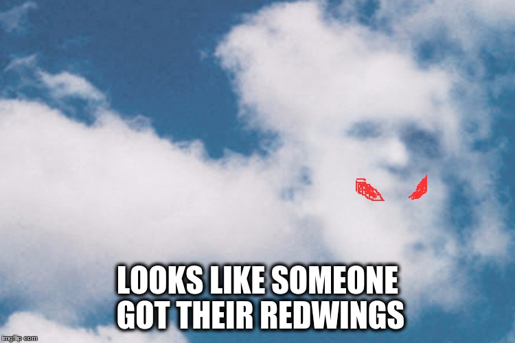 LOOKS LIKE SOMEONE GOT THEIR REDWINGS | made w/ Imgflip meme maker