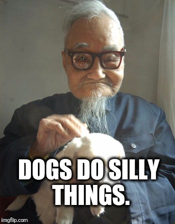 Umm how did the dog get inside your BBQ? | DOGS DO SILLY THINGS. | image tagged in asian elder,memes,satire,funny | made w/ Imgflip meme maker
