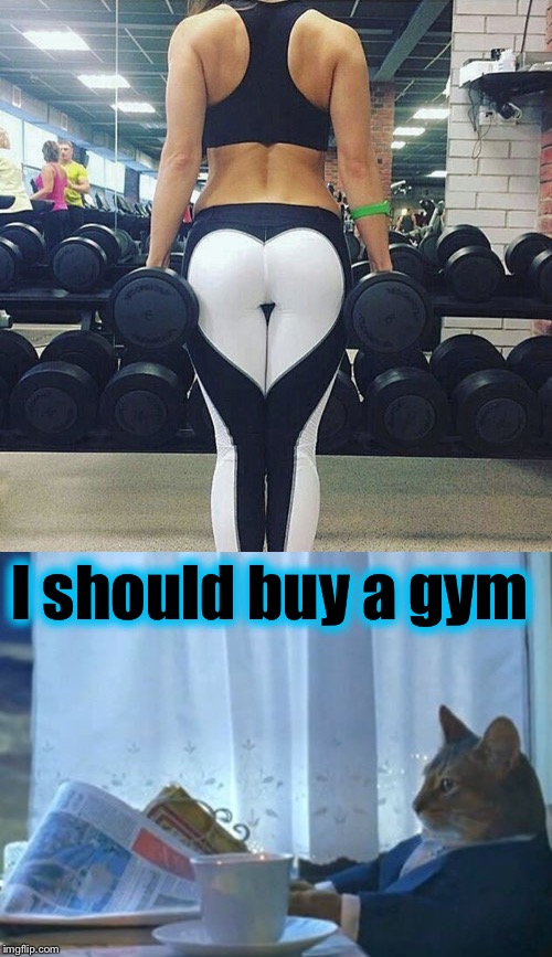 As long as the gym has a bar where I can do some 12oz curls... | I should buy a gym | image tagged in i should buy a boat cat,evilmandoevil,gym memes,memes | made w/ Imgflip meme maker