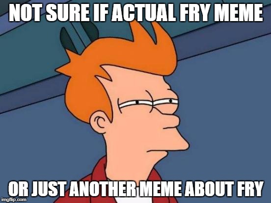 Futurama Fry | NOT SURE IF ACTUAL FRY MEME; OR JUST ANOTHER MEME ABOUT FRY | image tagged in memes,futurama fry | made w/ Imgflip meme maker