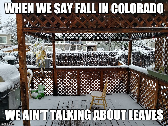 WHEN WE SAY FALL IN COLORADO; WE AIN'T TALKING ABOUT LEAVES | made w/ Imgflip meme maker