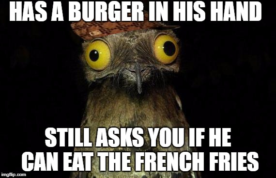 Weird Stuff I Do Potoo | HAS A BURGER IN HIS HAND; STILL ASKS YOU IF HE CAN EAT THE FRENCH FRIES | image tagged in memes,weird stuff i do potoo,scumbag | made w/ Imgflip meme maker